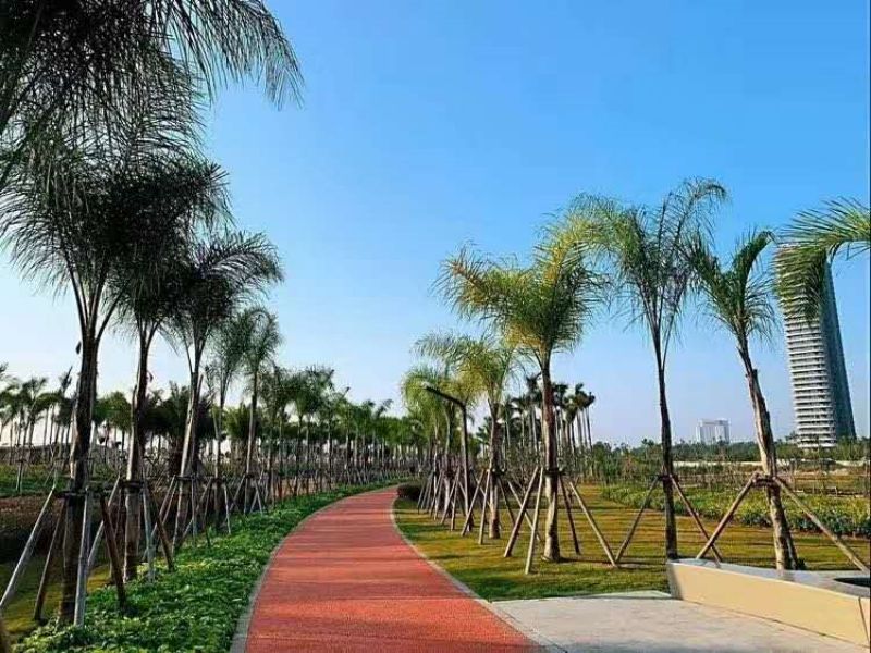 广西北海市滨海国家湿地公园治理